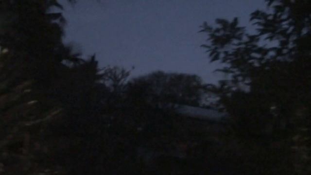 Просто пение ночных птиц в январе в Пхукете смотреть онлайн