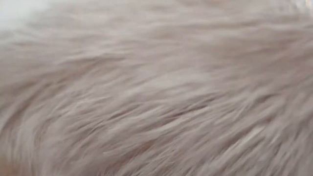 GREYMY. Результат работы с пудрой UTOPIA