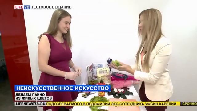 Немного про стабилизированный  мох в эфире Life78. Стена из мха своими руками