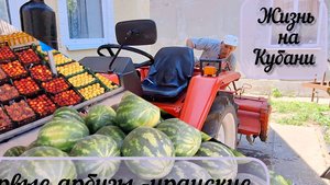 Поездка в Краснодар | Платная дорога |Придорожный рынок