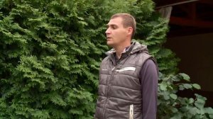ПОЧЕМУ ЖЕЛТЕЕТ ЕЛЬ, ТУЯ, МОЖЖЕВЕЛЬНИК, КИПАРИСОВИК / Хвойные растения