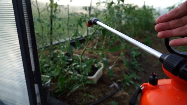 Обзор опрыскивателя Жук. Опрыскиватель для женщин.