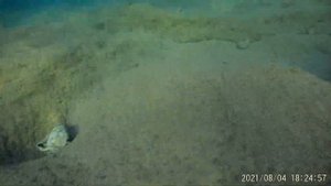 Ныряем с маской от первого лица