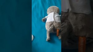 Укол   Басику