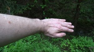 Эффективное средство от комаров [Секретное] Защита- отпугиватель комаров на природе