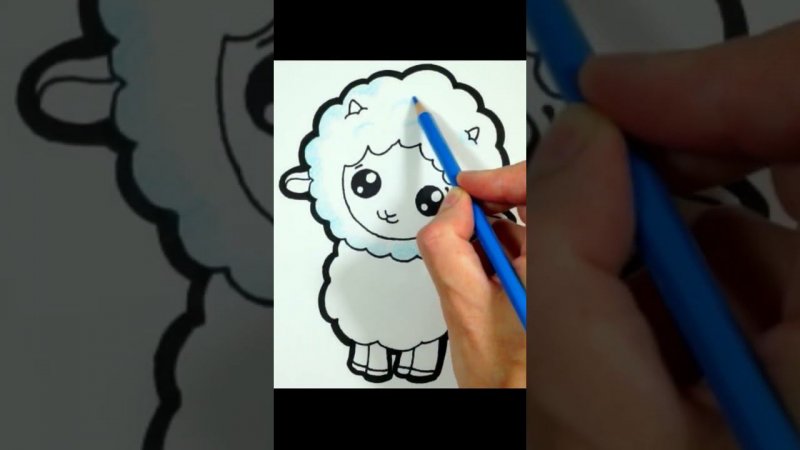 How to draw a sheep