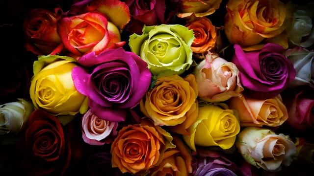 Картинка цветы. Розы, флора, цветы, роза, букет. смотреть онлайн