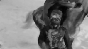 Закатилася зорька за лес, словно канула...