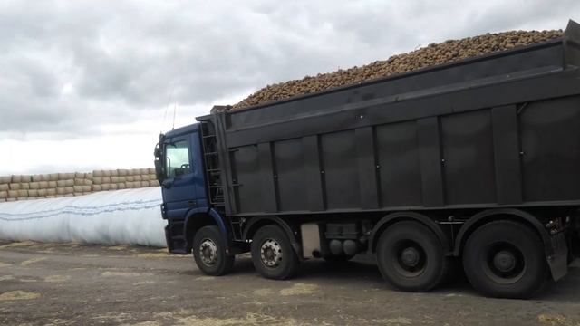 Уборка картофеля 2022.3 смотреть онлайн