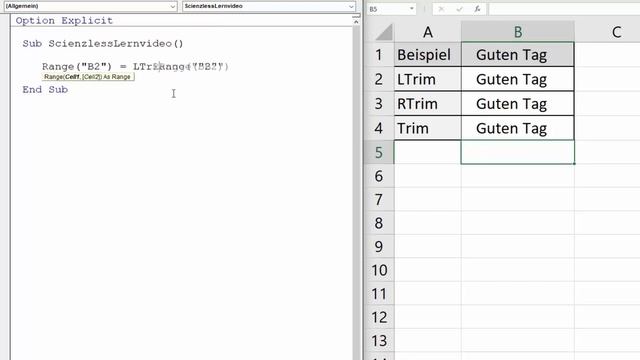 Leerzeichen entfernen mit den Trim Funktionen [Alle Excel VBA Befehle] смотреть онлайн