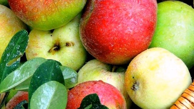 Дары лета! смотреть онлайн