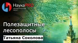 Полезащитные лесополосы: история, значение, современное состояние – Татьяна Соколова | Научпоп