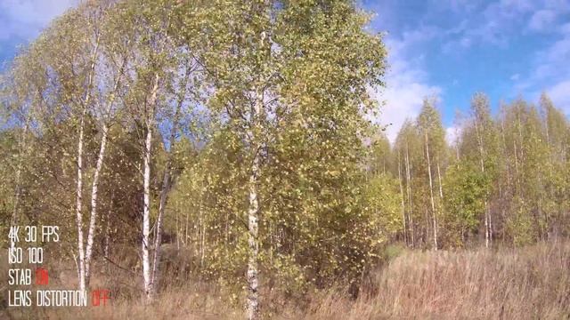 sjcam sj8 pro 4k тест. Стабилизация, детализация. смотреть онлайн