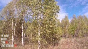 sjcam sj8 pro 4k тест. Стабилизация, детализация.