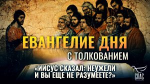 «ИИСУС СКАЗАЛ: НЕУЖЕЛИ И ВЫ ЕЩЕ НЕ РАЗУМЕЕТЕ?» / ЕВАНГЕЛИЕ ДНЯ