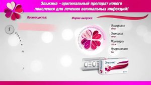 Эльжина Вертекс