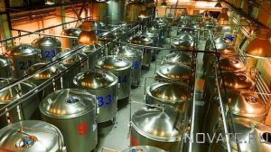 Можно ли садиться за руль после безалкогольного пива в 0,5 литра