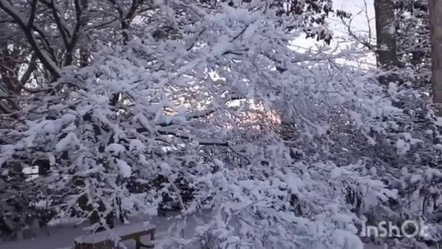 Донья КаБэ просит на окно и учёбу. Показала доходы. Селима пустят. Яночка просит круиз и адвокатов.