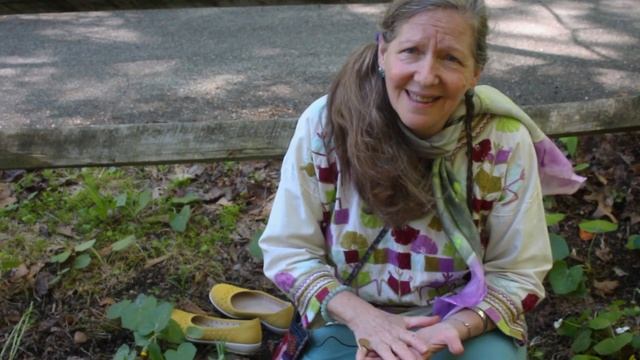 Plant Medicine Series: Violet (Viola odorata) смотреть онлайн