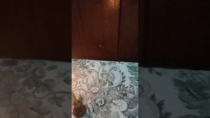 Ритуал смотреть, (Обряд на богатство)