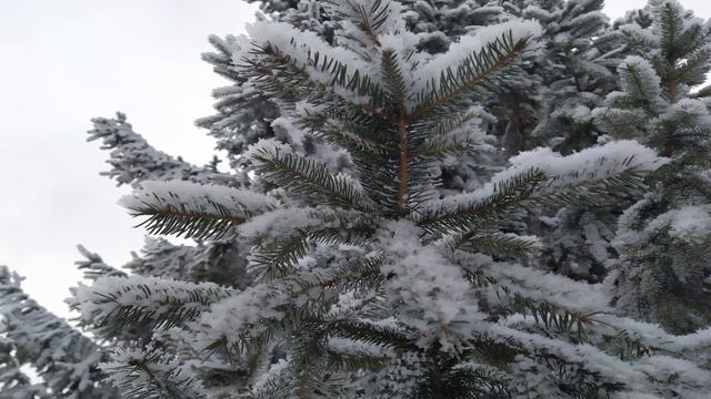2 марта.ДЕНЬ ФЕДОРА.Приметы.Поверья. Традиции.Запреты