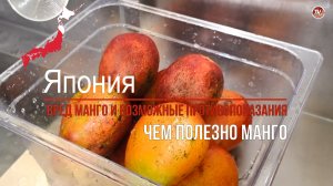 Чем полезно манго? Вред манго и возможные противопоказания / СербаТВ 🔴