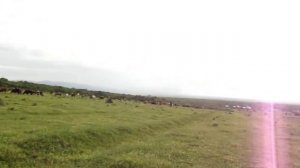 Тайна провала земли в Чеченской республике раскрыта