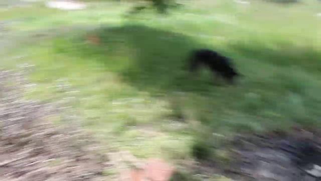 Собираем мусор около прудика. смотреть онлайн