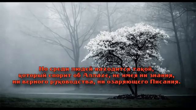 Сура "Лукман" (Ислам Субхи) смотреть онлайн