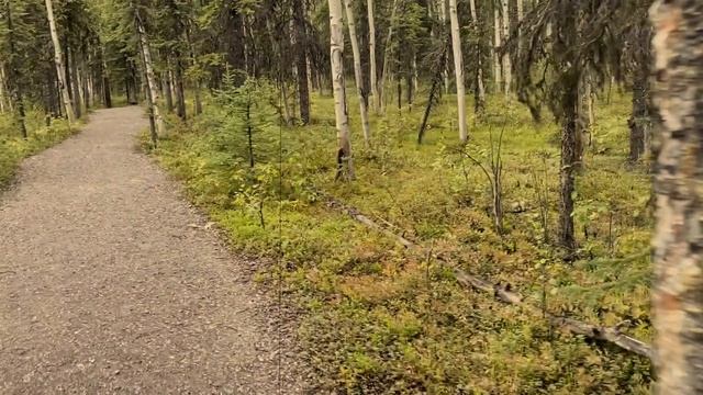 Автоответчик: Антиреальность 18+ смотреть онлайн