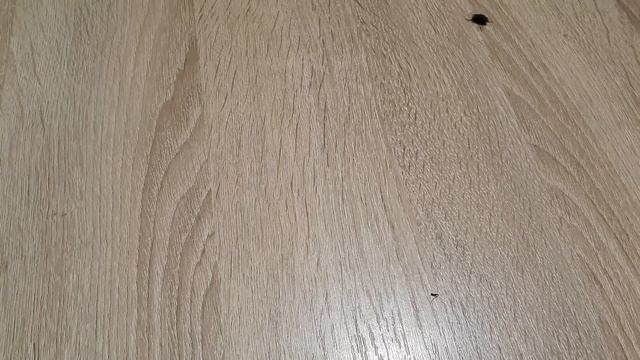 ?Ну, ладно! Давай бухти мне и мух отгоняй??? смотреть онлайн