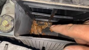 Как поменять воздушный фильтр на Рено Сценик 2 / Замена масла и фильтров на Renault Scenic 2