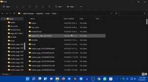 REMOVE temporary Junk files (Windows 10/11)