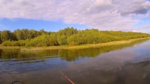 ЧУТЬ СПИННИНГ ИЗ РУК НЕ ВЫБИЛ!!! Гигантский жерех на воблер