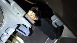 How To Clean Infuser on the Delonghi Magnifica S Coffee Machine Maker