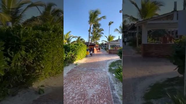 Vik arena blanca 4 / Территория отеля/ Пунта Кана 2022/Доминикана / доминикана 2022/Вик арена бланк смотреть онлайн