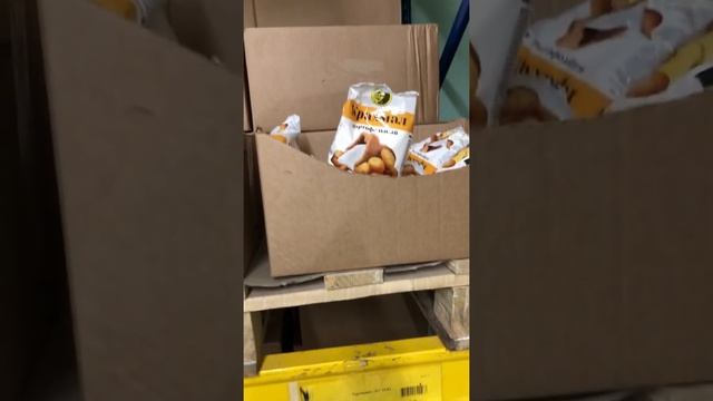 Самый центральный Светофор! продолжение смотреть онлайн