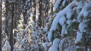 Всесокрушающее спокойствие  Для женщин