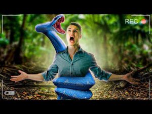 Австралия - Страна, Где Все Хотят Тебя Убить