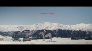 Modern Martina - Wind and Rain (Korg Style Rmx)