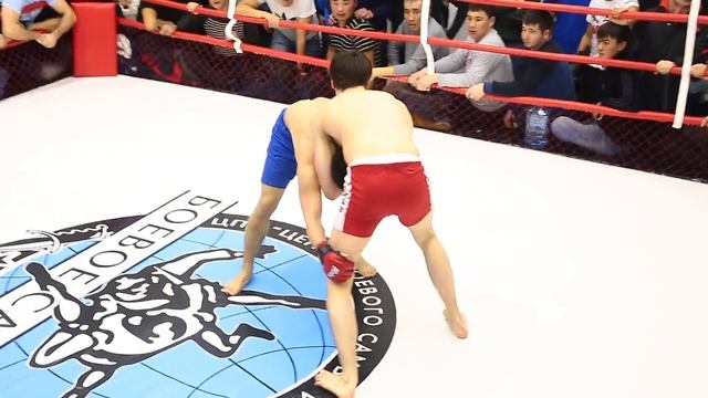 7.02.16 Проф Боевое Самбо «КУБОК МОСКВЫ» Новички смотреть онлайн