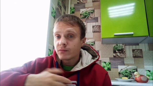 сдал тест ПЦР на коронавирус /тест на ковид смотреть онлайн