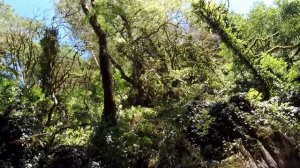 Каньон Чертовы Ворота. Экскурсия с купанием в горной реке в Хосте.