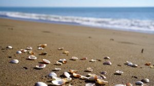 SketchUP Pro | SketchUP License Keys 2023 | SketchUP Install Tutorial | Free Download Newest Versio