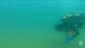 Разминирование пляжа в городе Севастополе.