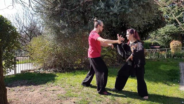 Tui Shou Ti I Lu - Tai Chi applicazione 1° parte forma Yang 108 смотреть онлайн