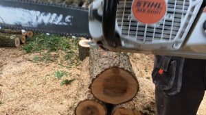 Stihl MS 241C & Stihl MS 500i stock