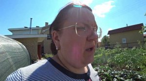 Размножение жимолости семенами