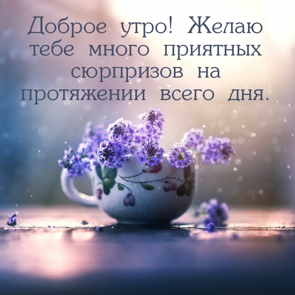Доброе Утро! Утро Началось! Позитив с утра!