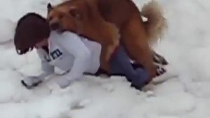 Собака хочет трахать девушку Где друг человека